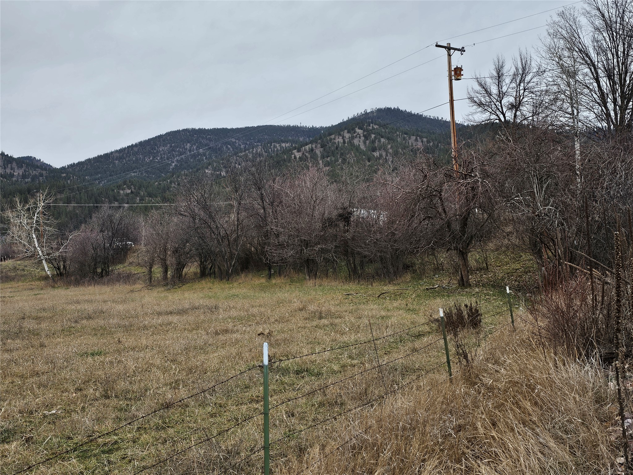 Nhn Stitt Lane Property Photo 22