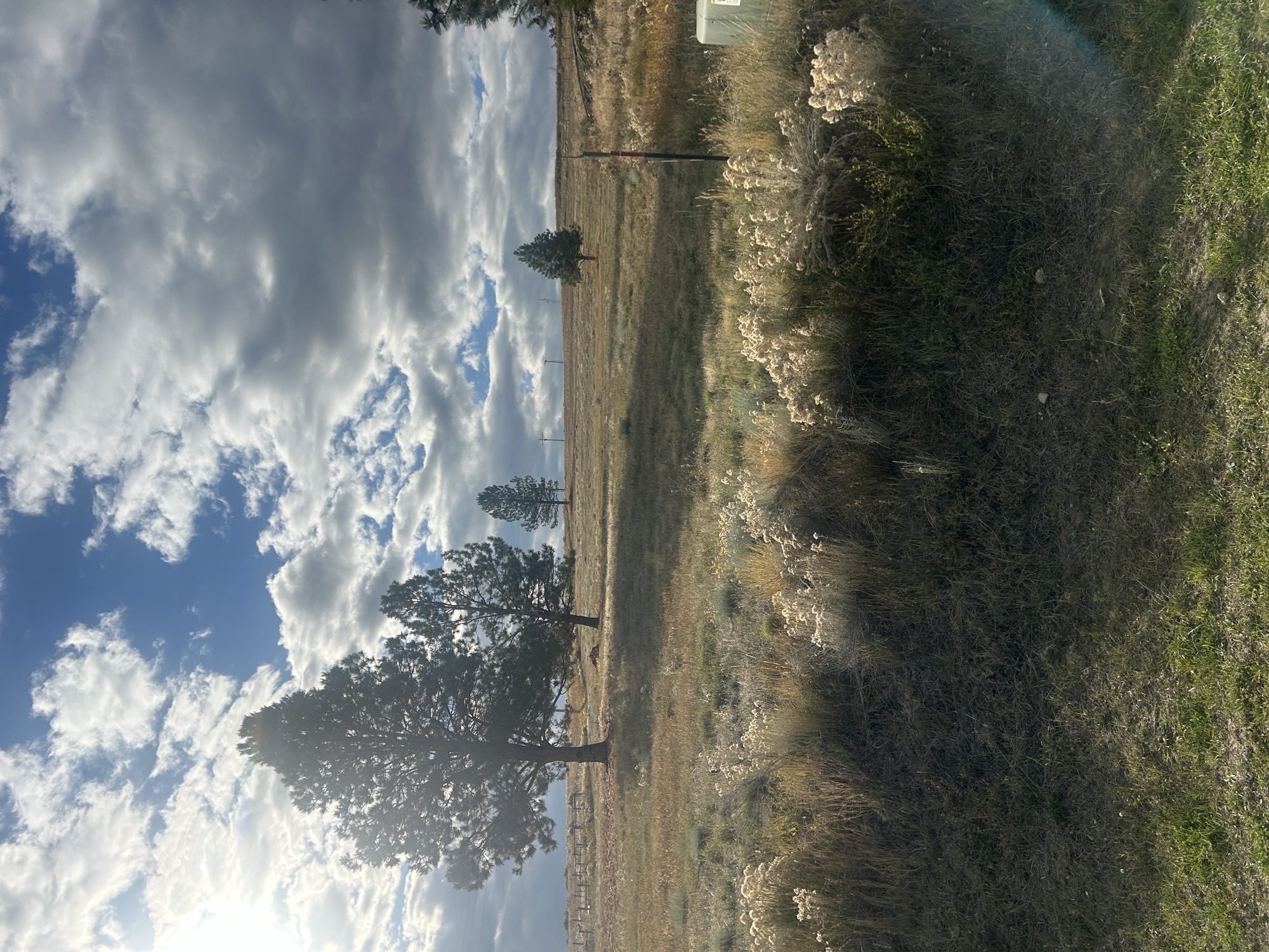 844 Cochise Way Property Photo 16
