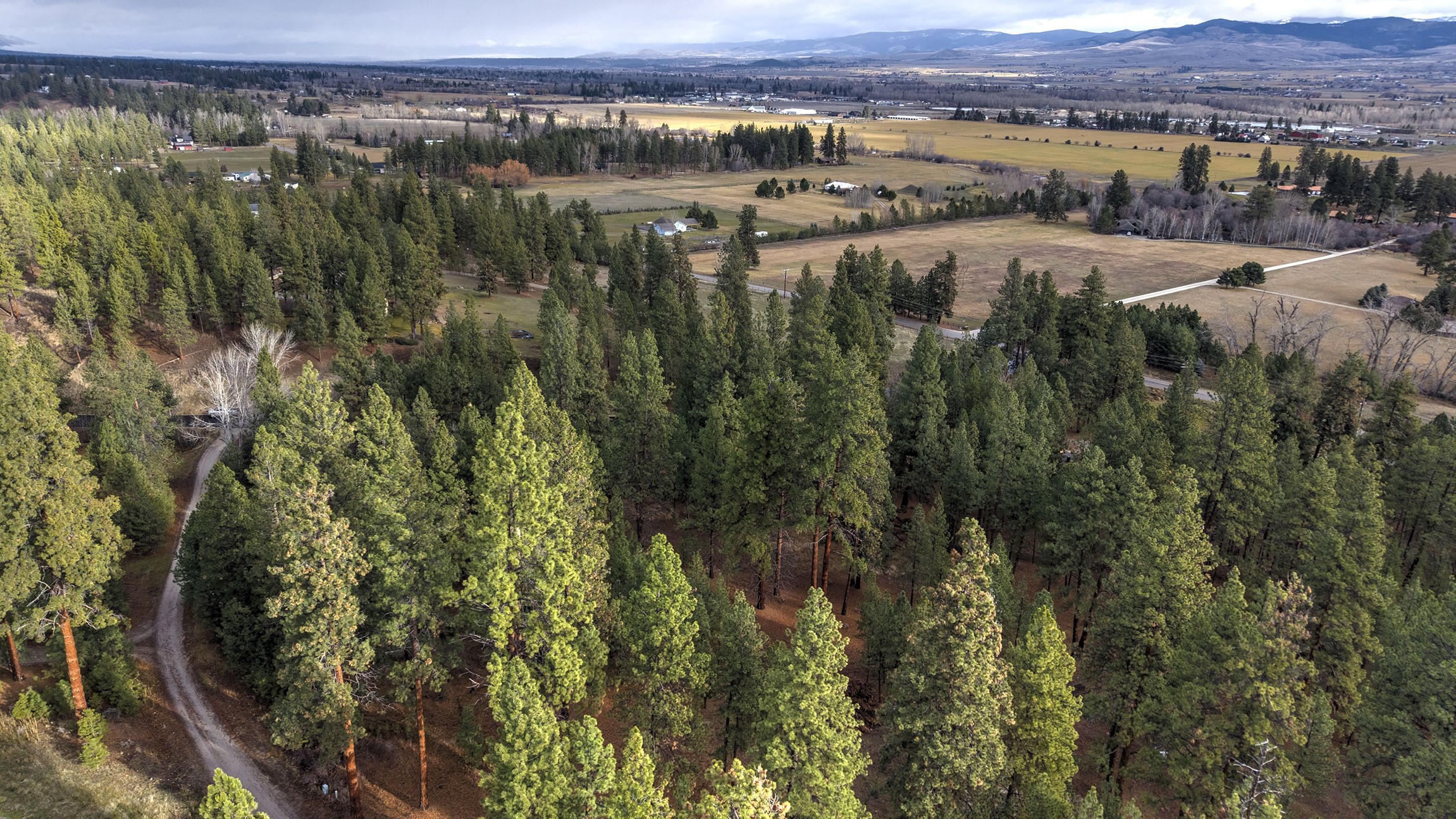 000 Lot 7 Cone Drive Property Photo 8