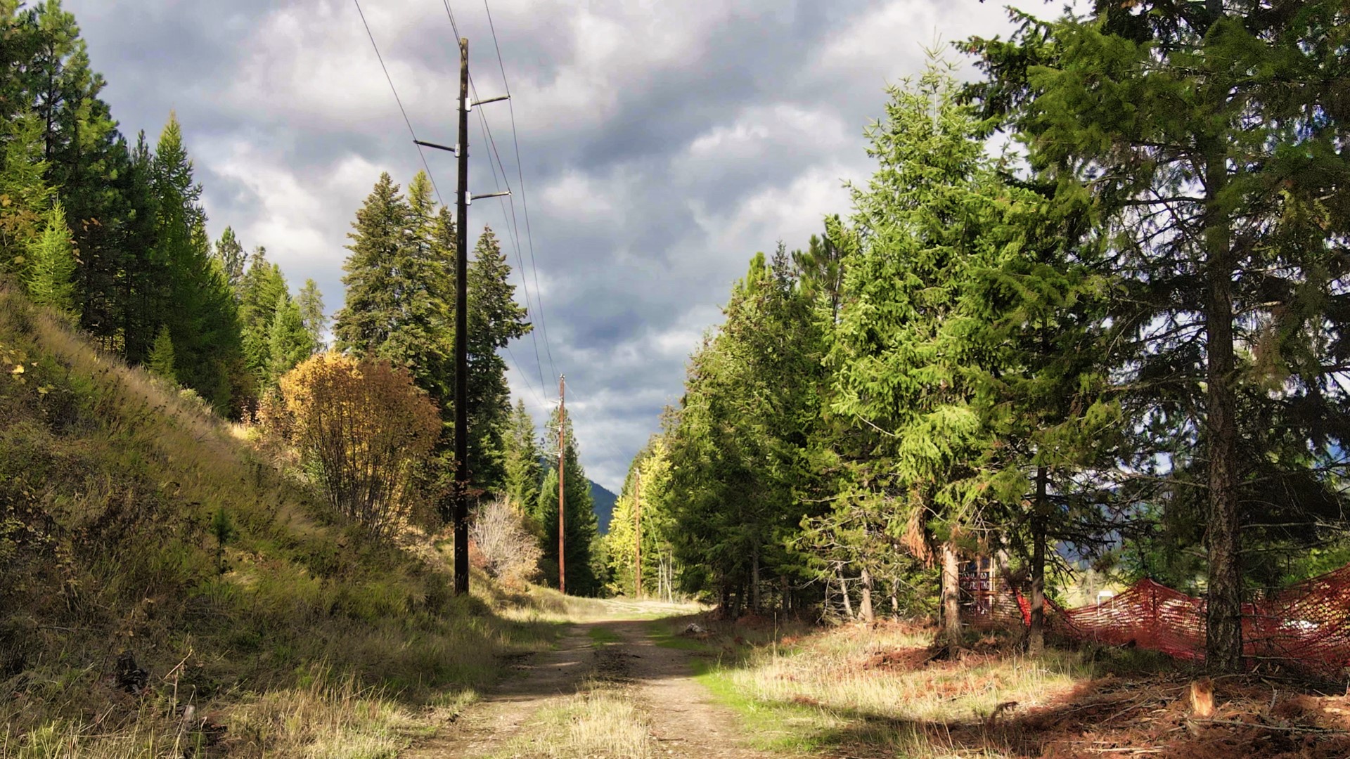 Tbd Cold Creek Road Property Photo 3