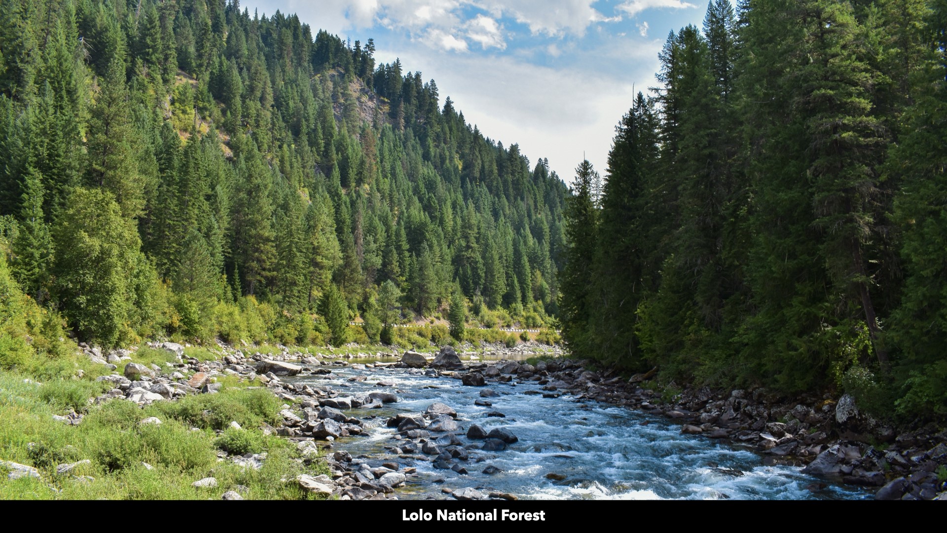 Tbd Cold Creek Road Property Photo 15