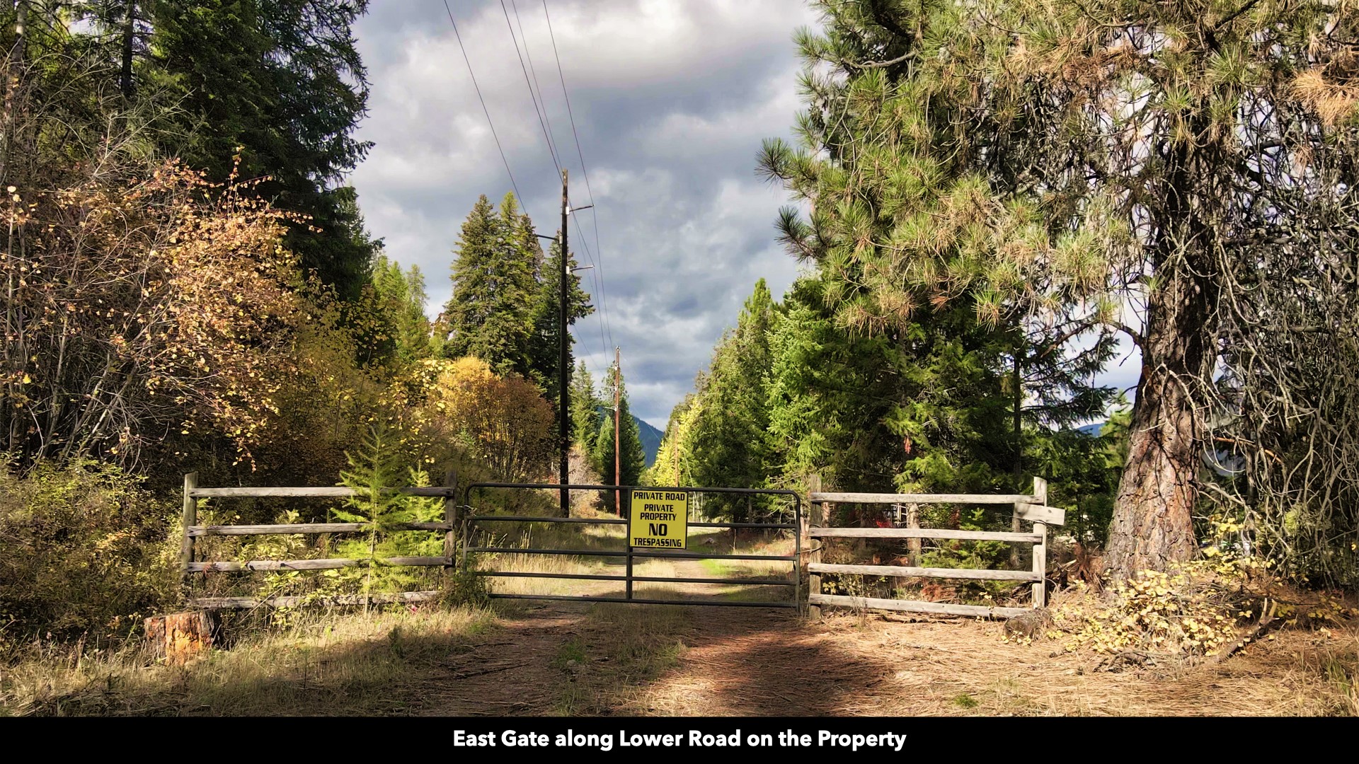 Tbd Cold Creek Road Property Photo 16