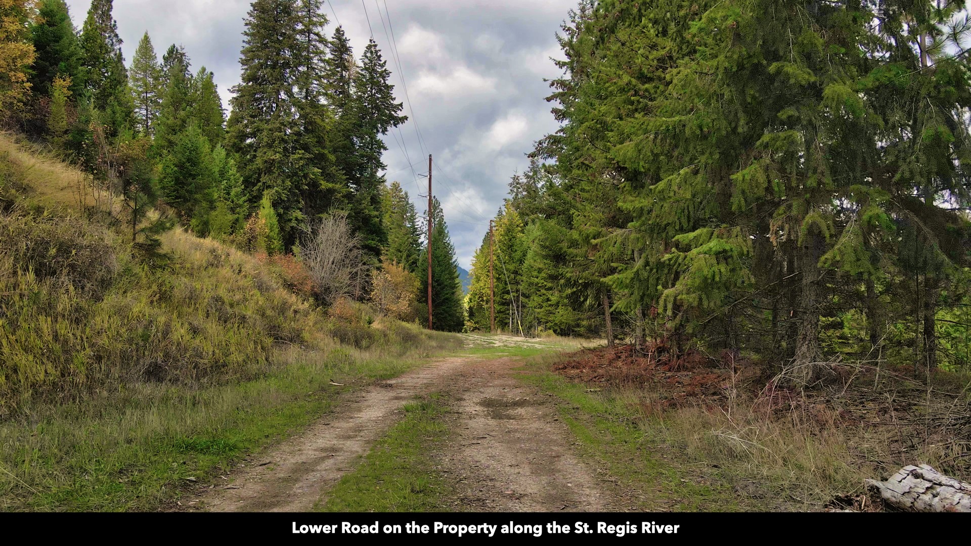 Tbd Cold Creek Road Property Photo 17