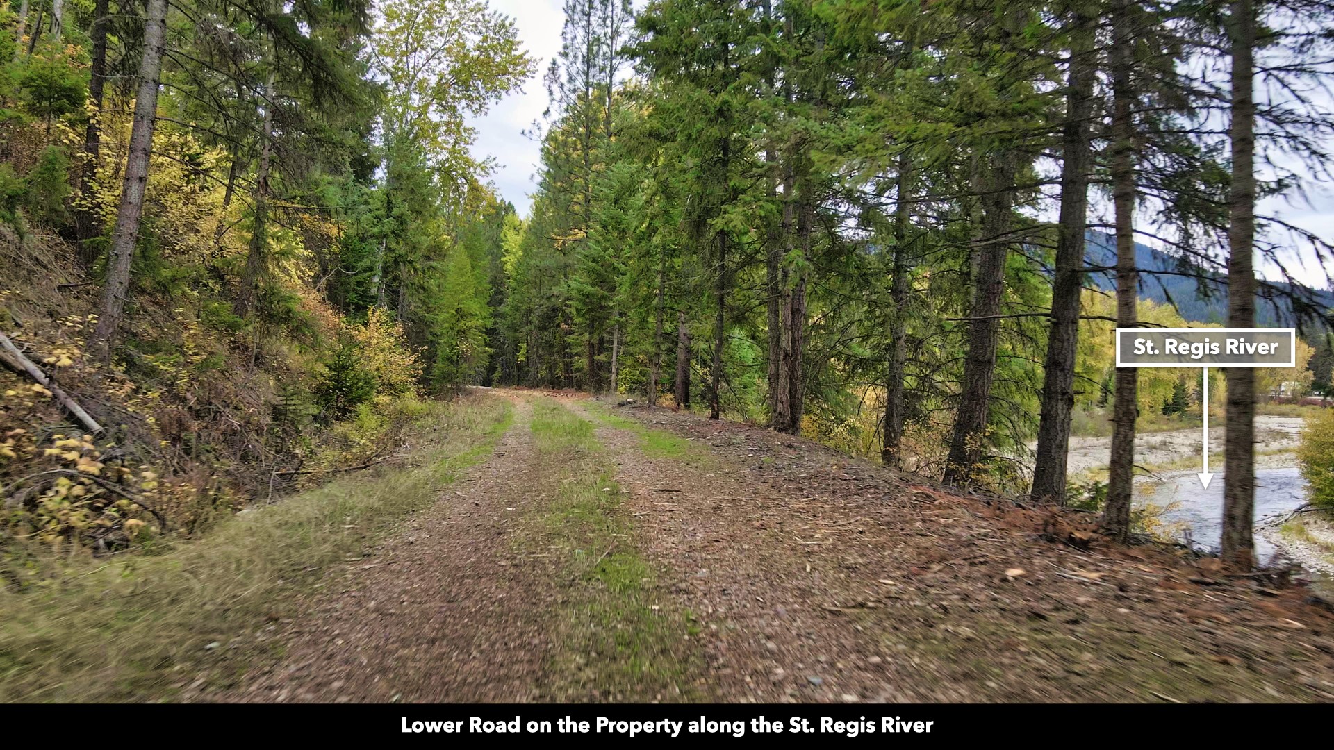 Tbd Cold Creek Road Property Photo 18