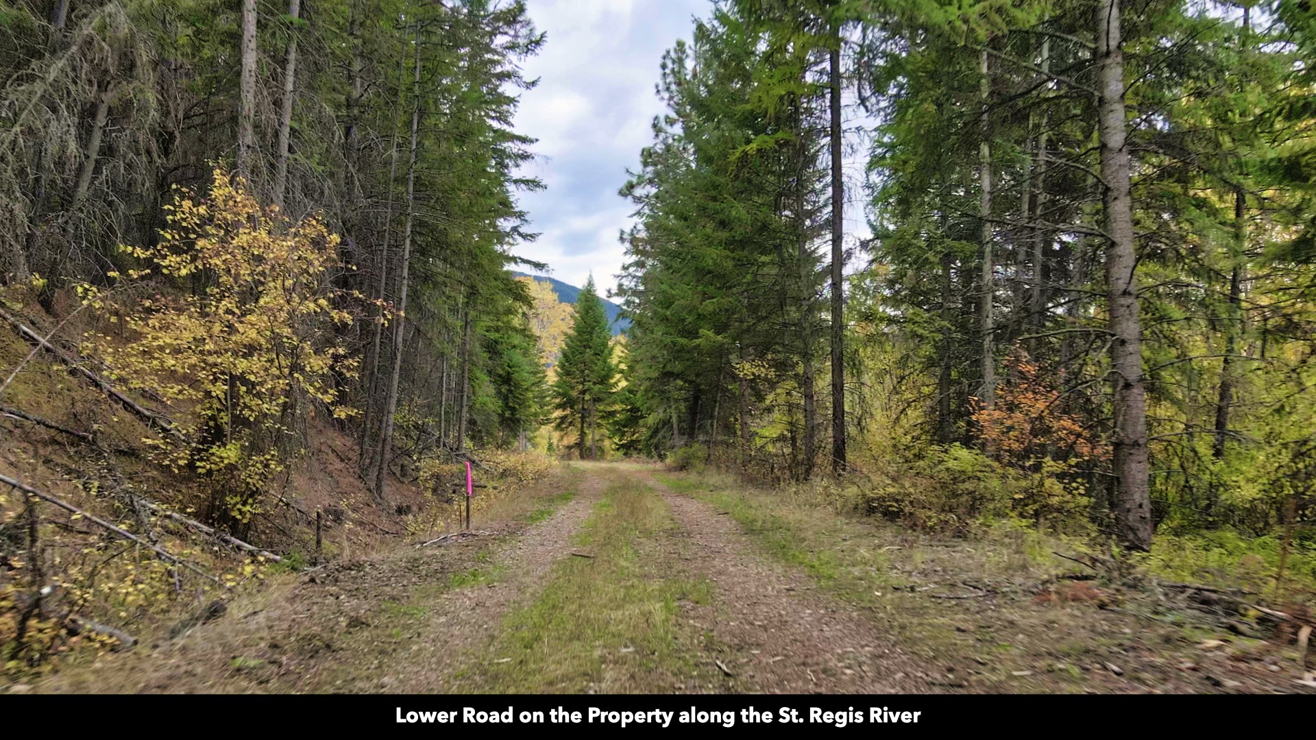 Tbd Cold Creek Road Property Photo 19