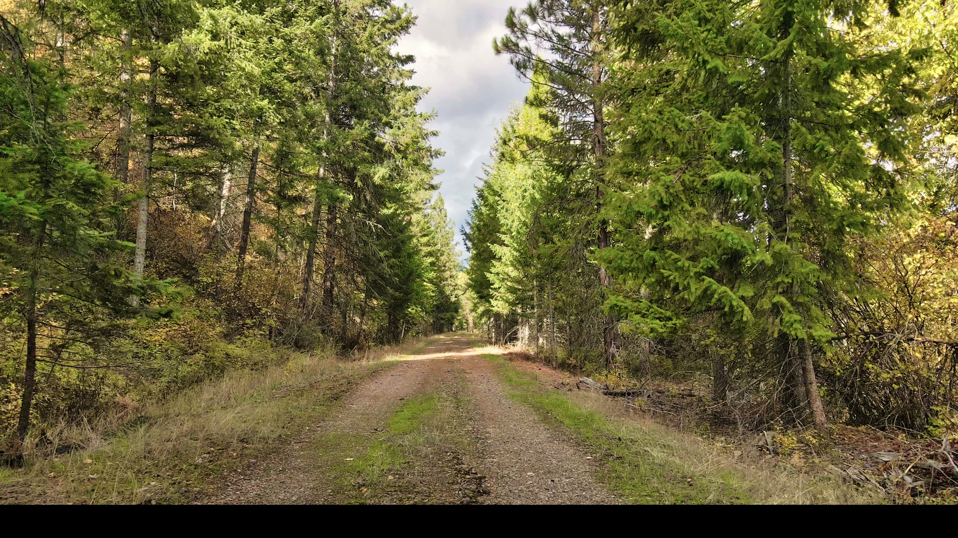 Tbd Cold Creek Road Property Photo 20