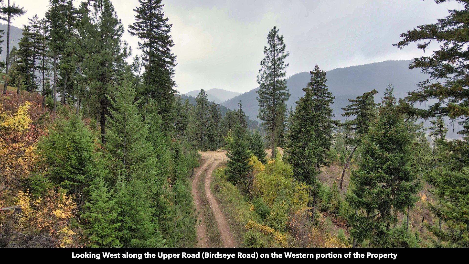 Tbd Cold Creek Road Property Photo 32