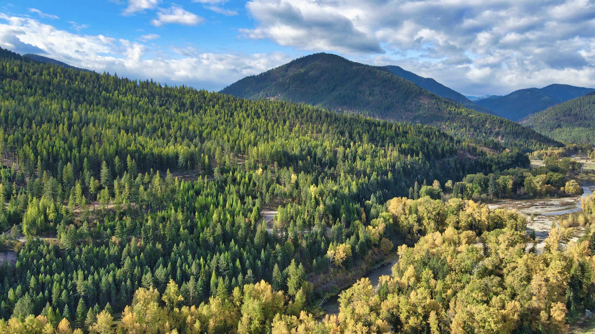 Tbd Cold Creek Road Property Photo 37