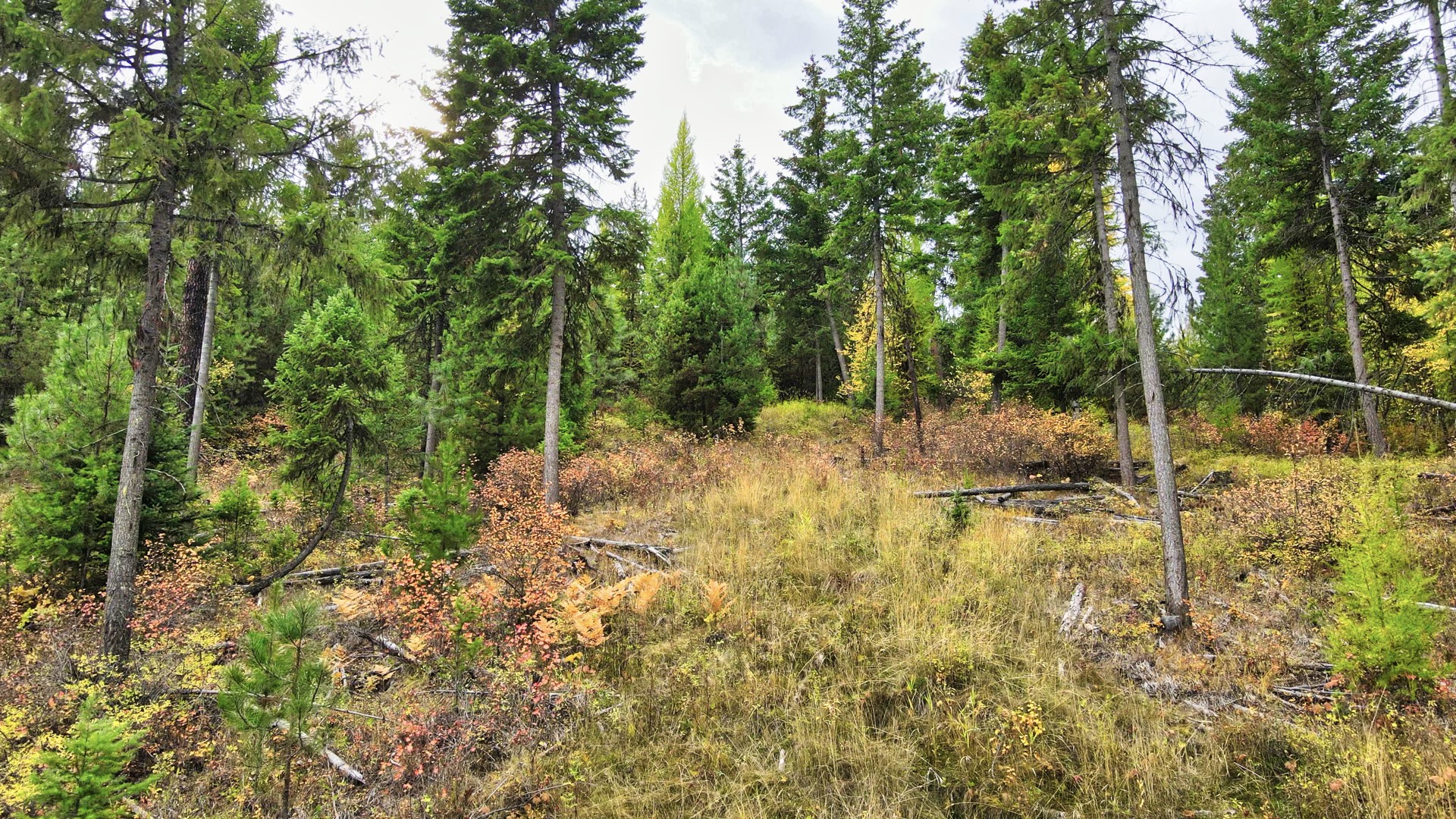 Tbd Cold Creek Road Property Photo 40