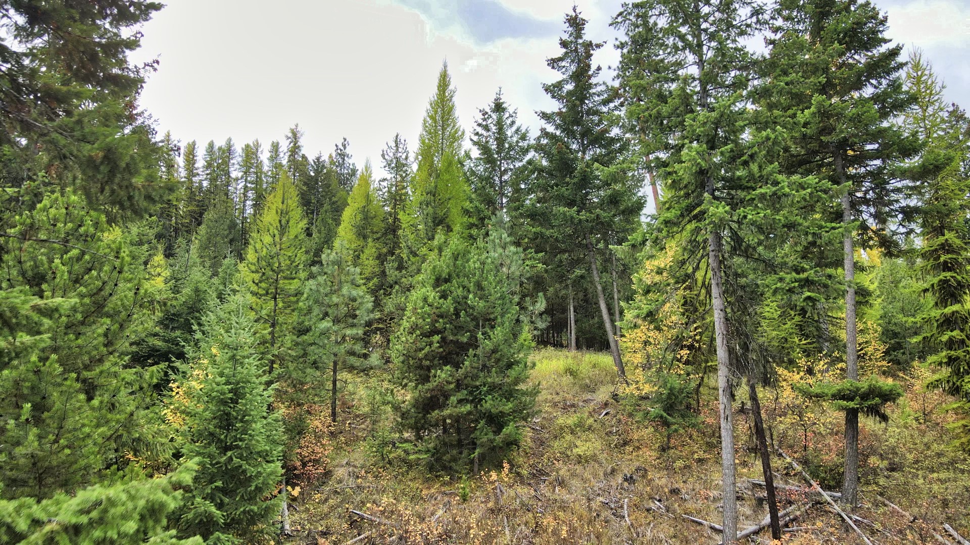 Tbd Cold Creek Road Property Photo 41