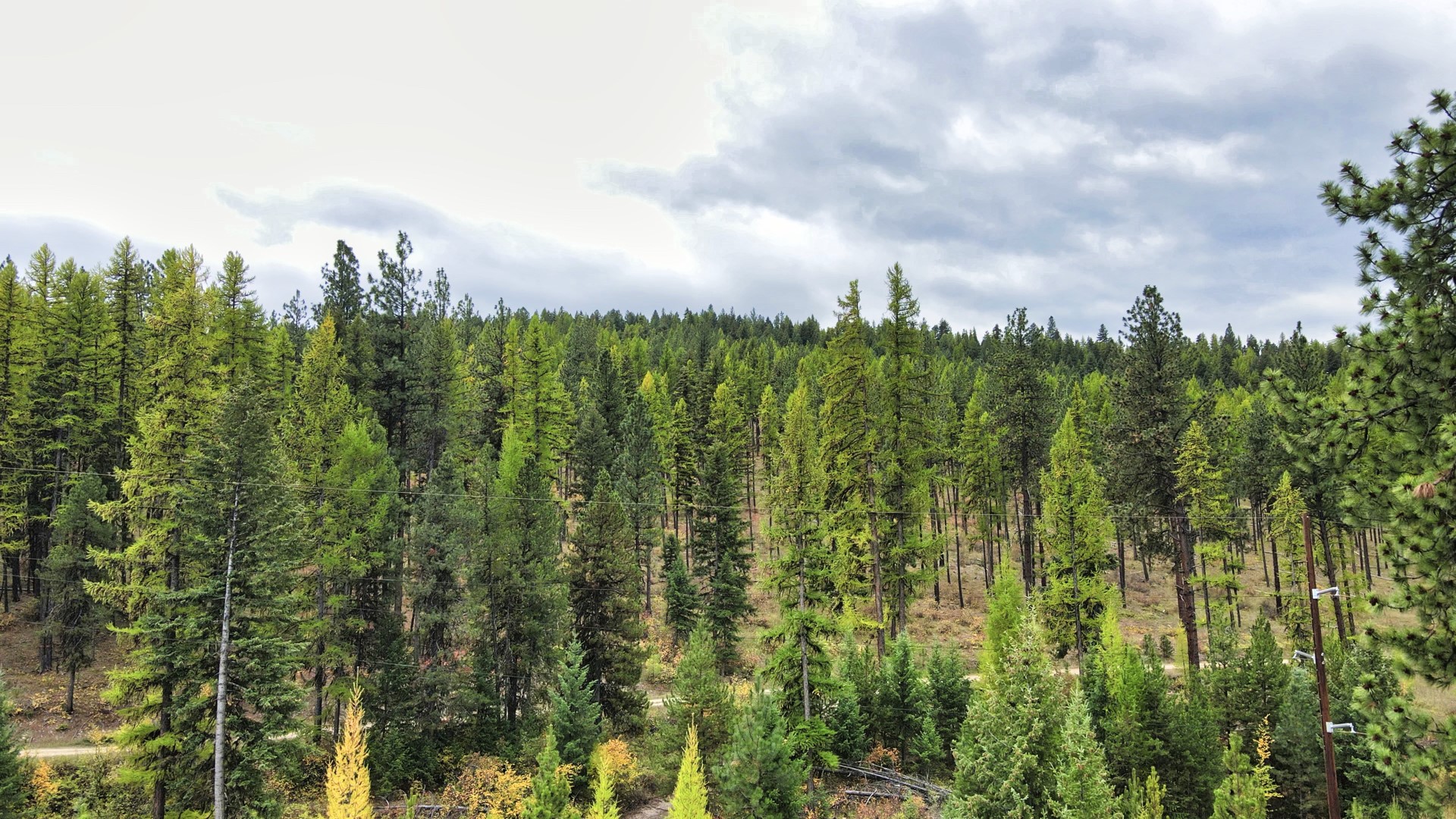 Tbd Cold Creek Road Property Photo 42
