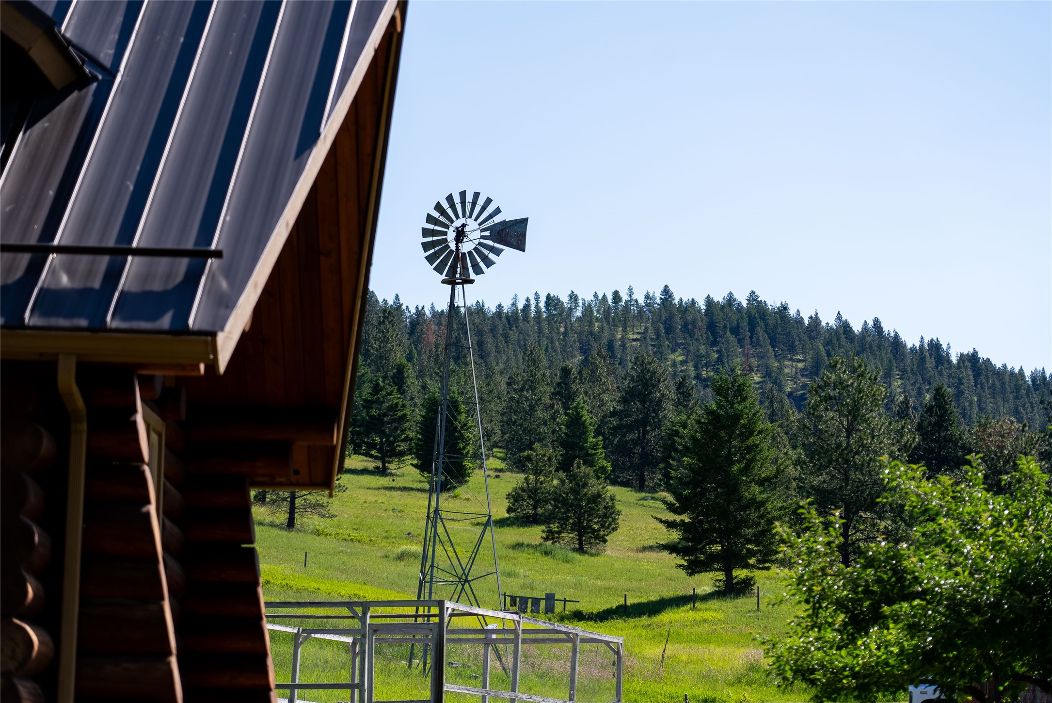 1675 Haywire Gulch Property Photo 13