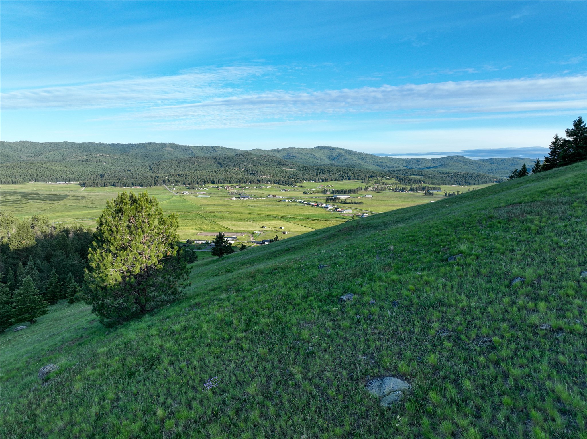 1675 Haywire Gulch Property Photo 17