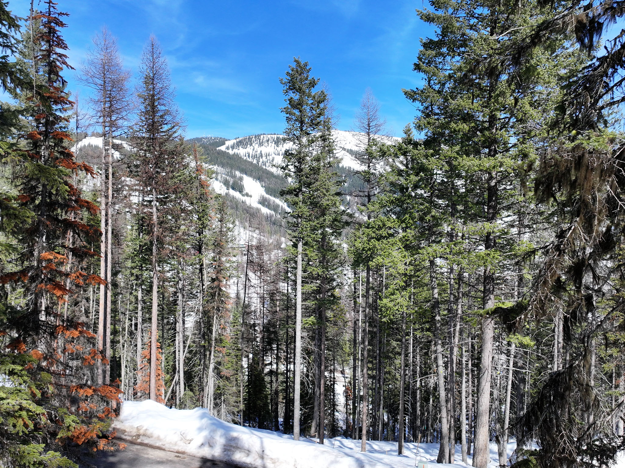 1046 Elk Camp Loop Property Photo 11
