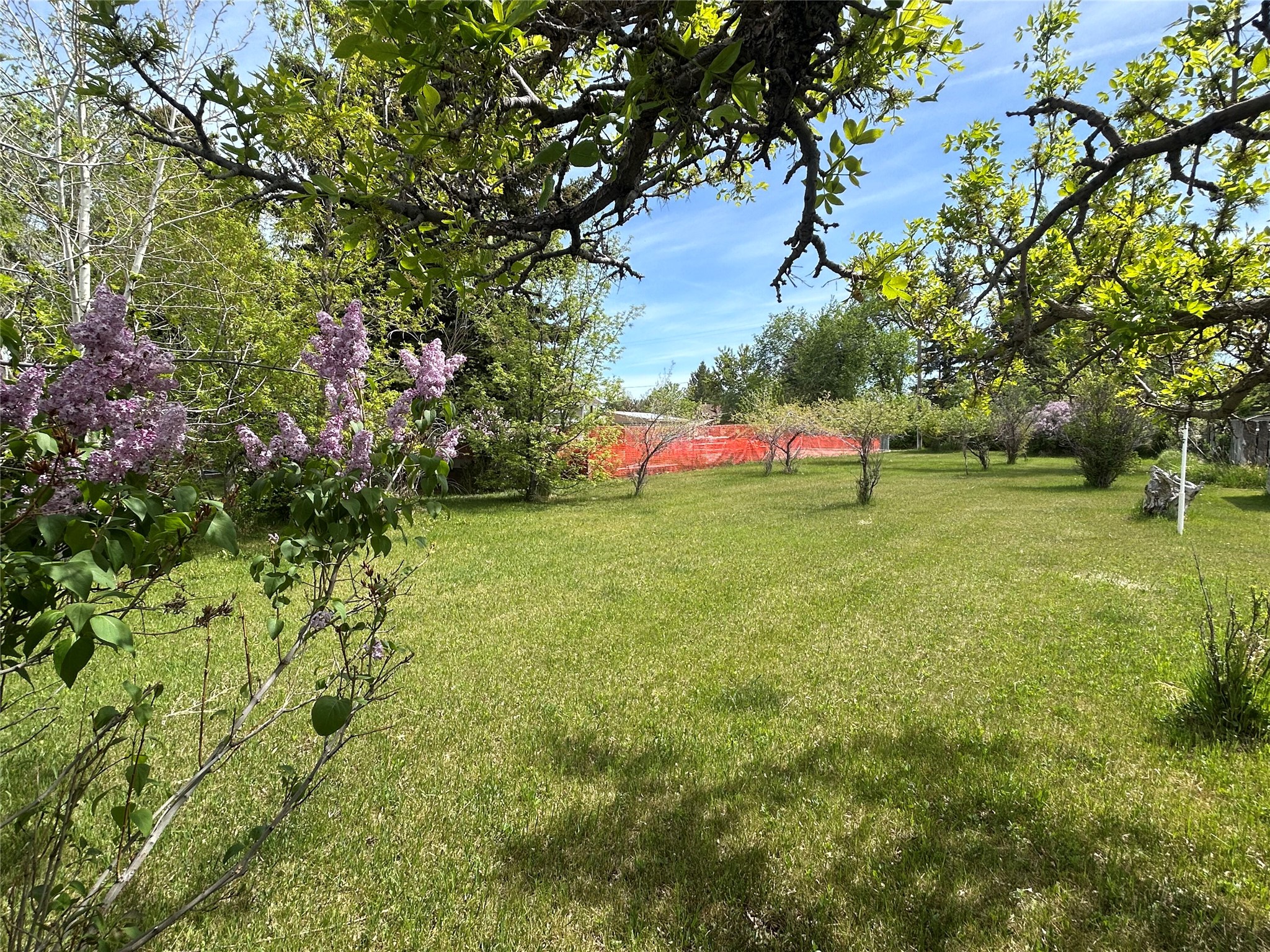 607 3rd Avenue SW Property Photo 1
