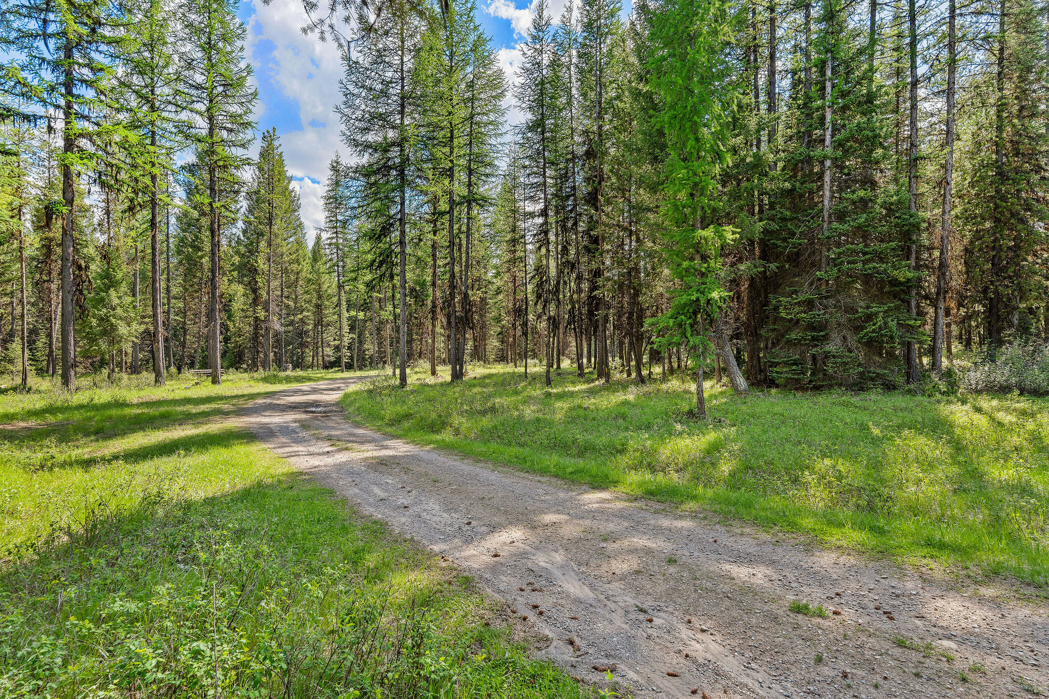 15645 North Fork Road Property Photo 57