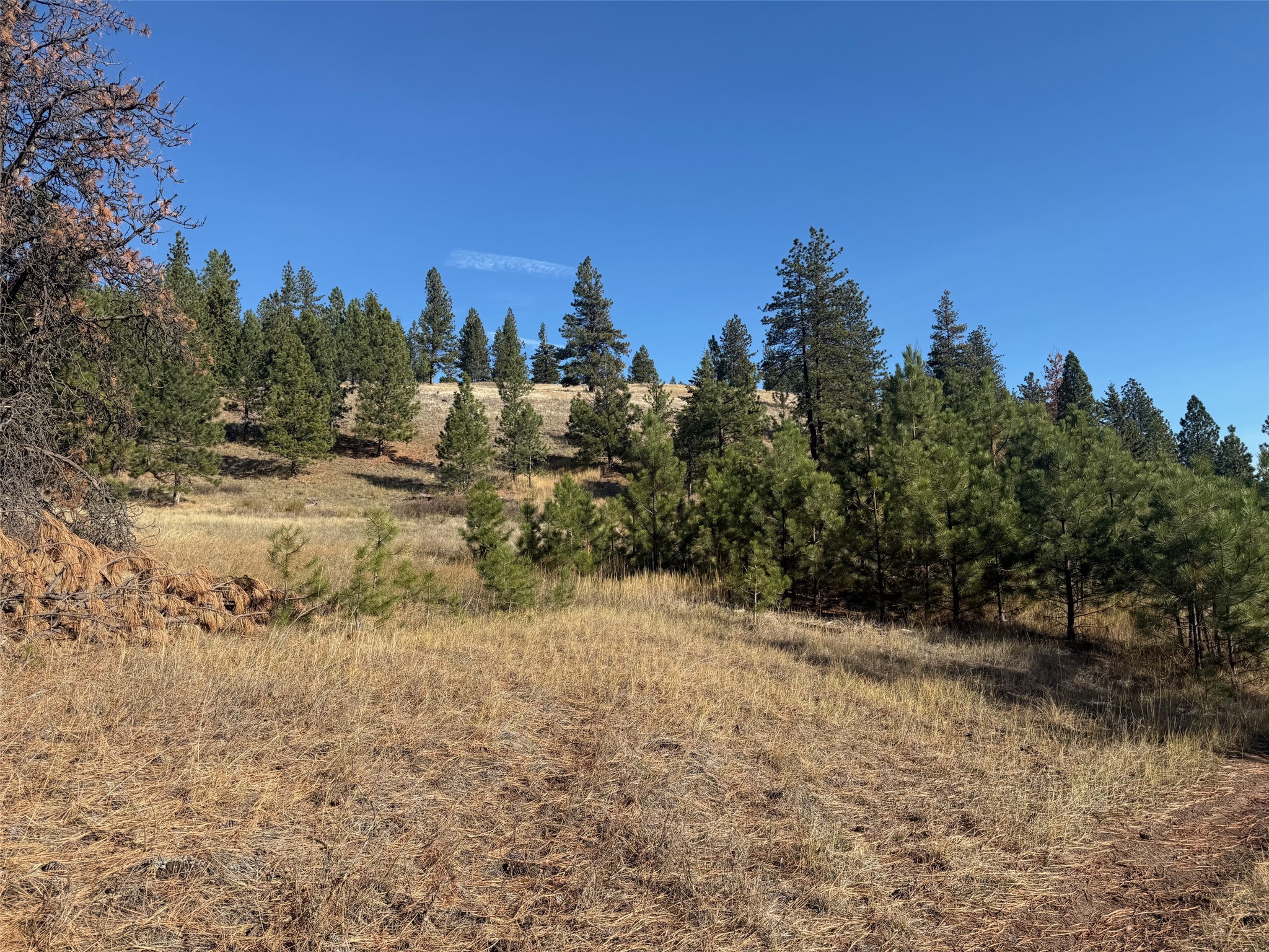 Parcel 1c Dry Gulch Road Property Photo 3