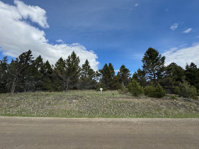 704 Flint View Road Property Photo 6