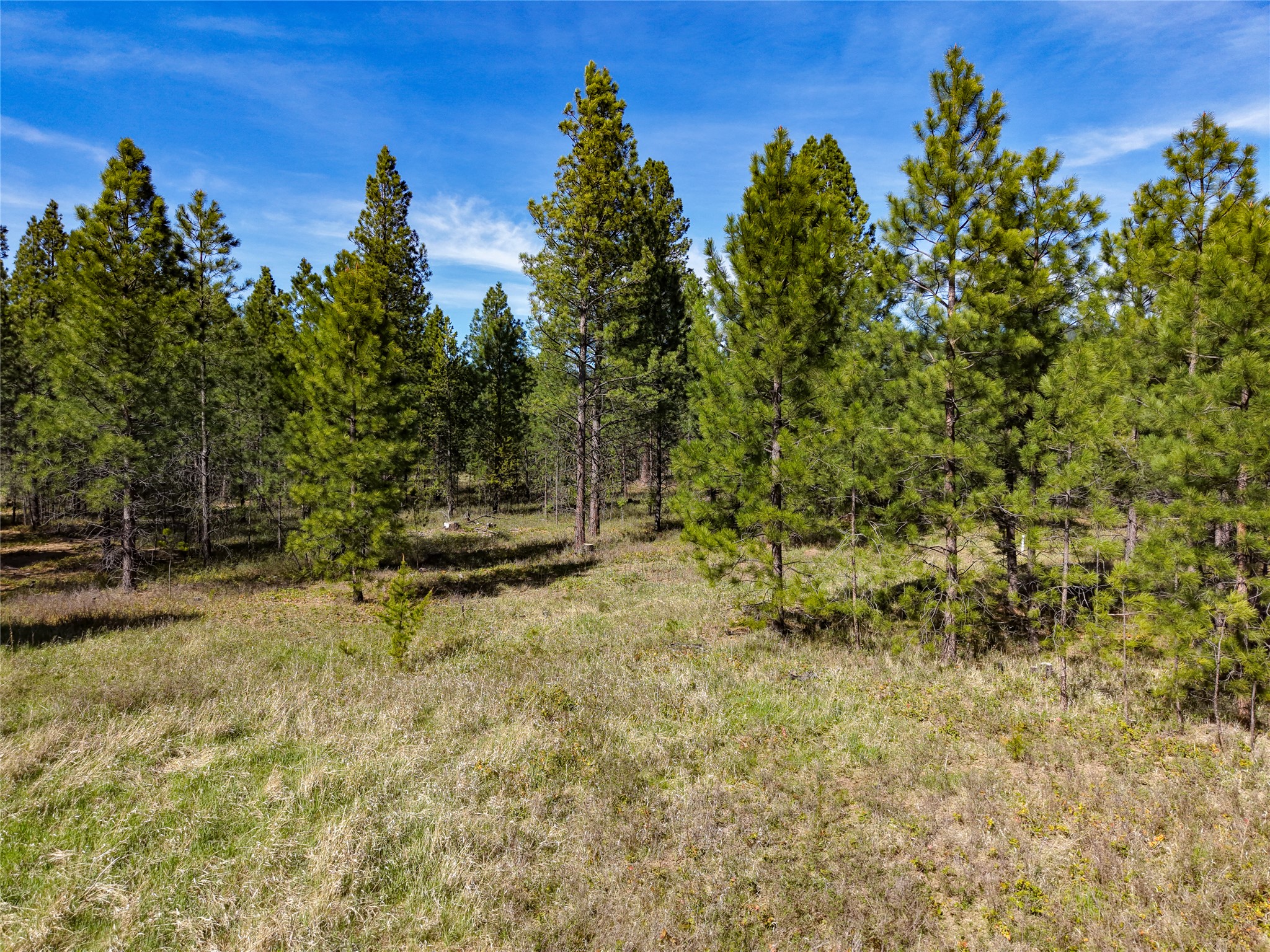 Lot 2d Liberty Lane Property Photo 9