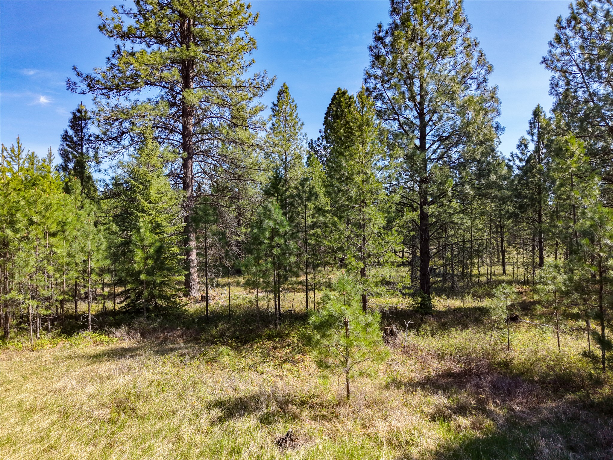 Lot 2d Liberty Lane Property Photo 10