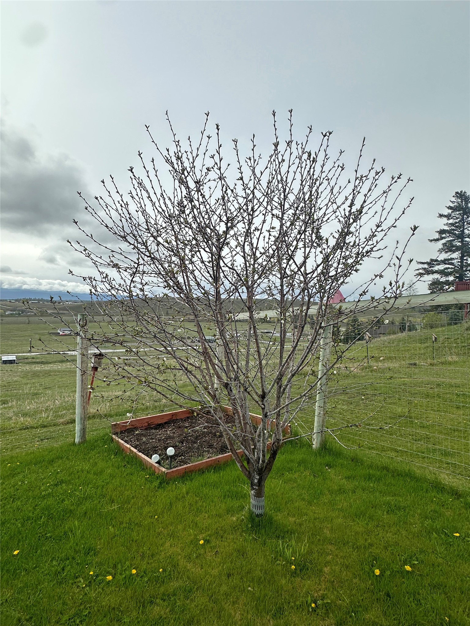 156 Bootleg Road Property Photo 39