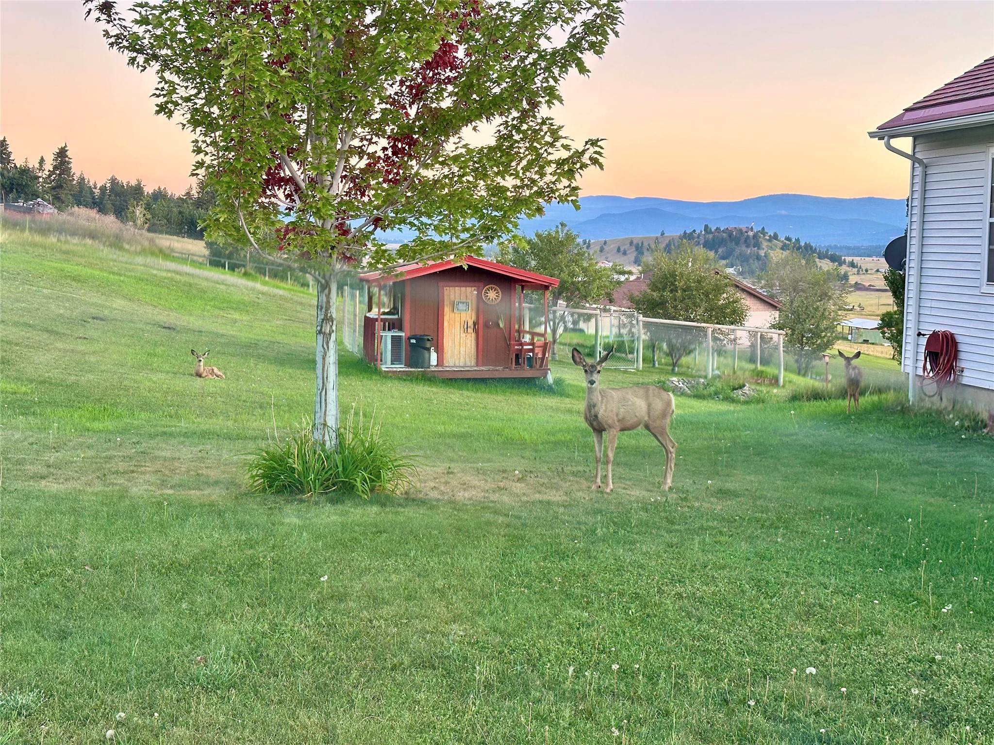 156 Bootleg Road Property Photo 46