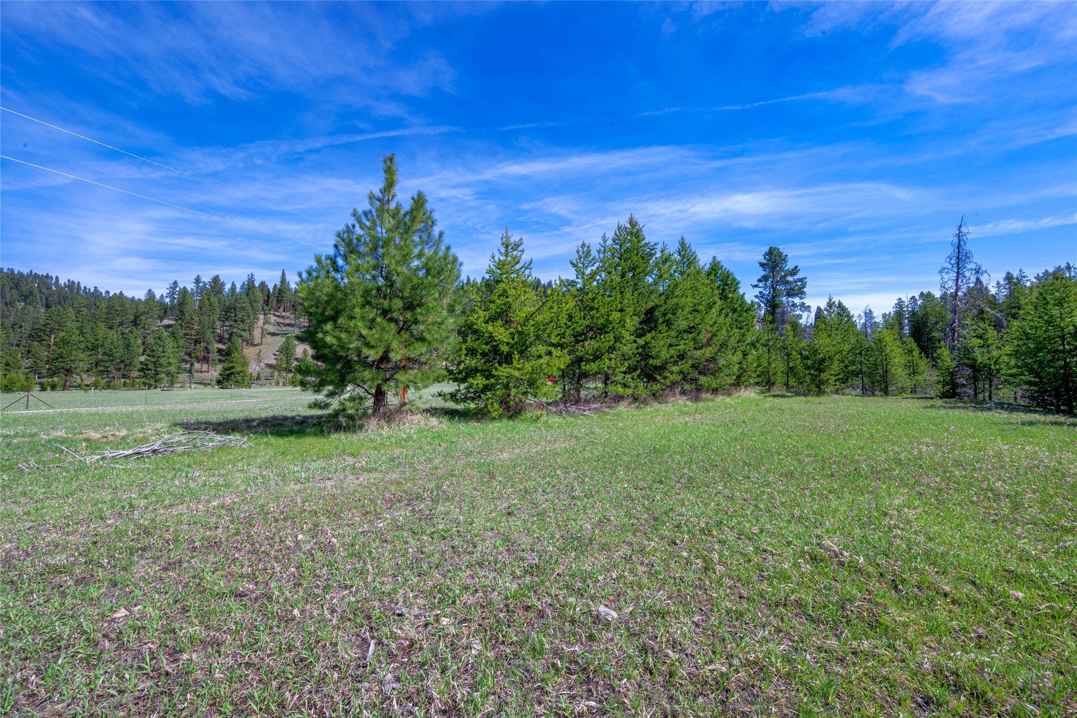 2766 E Fork Road Property Photo 9