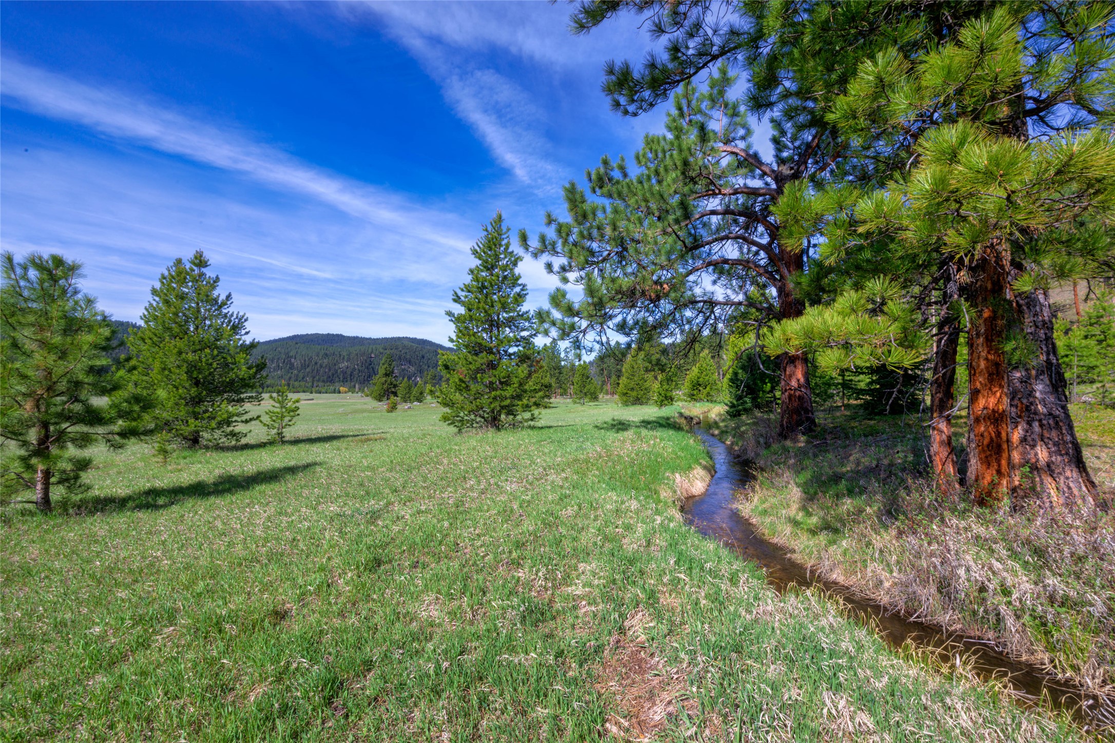 2766 E Fork Road Property Photo 15