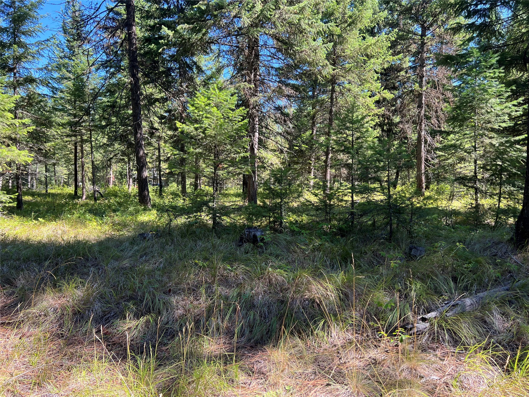 77 Trestle Creek Drive Property Photo 5
