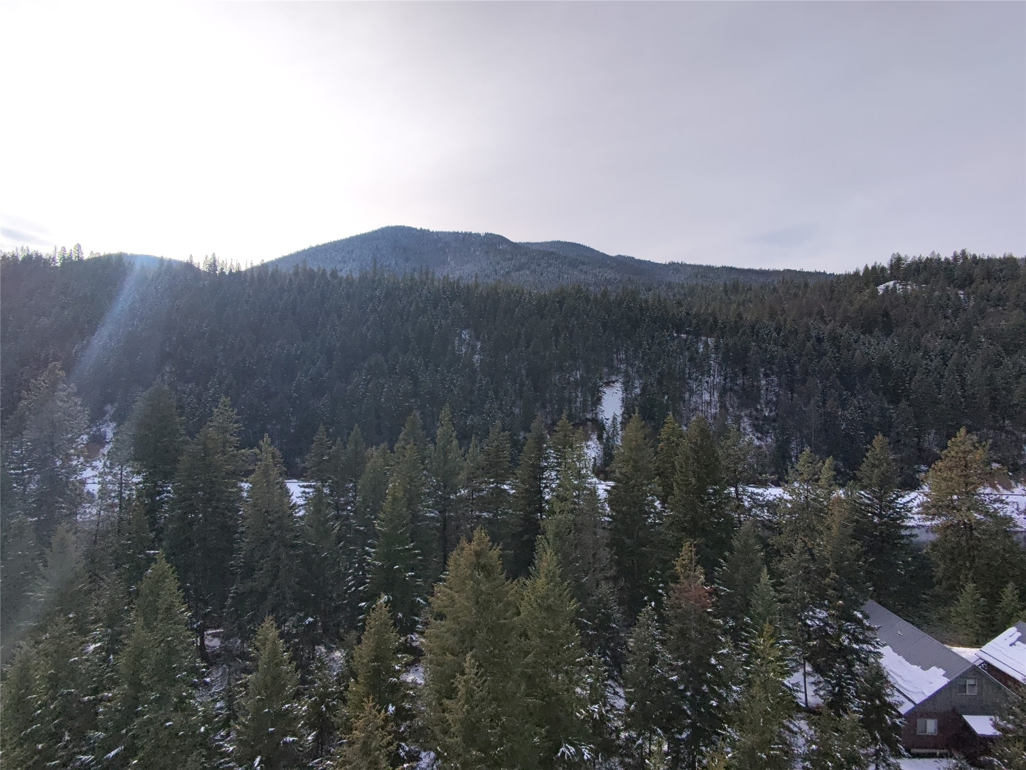 77 Trestle Creek Drive Property Photo 14