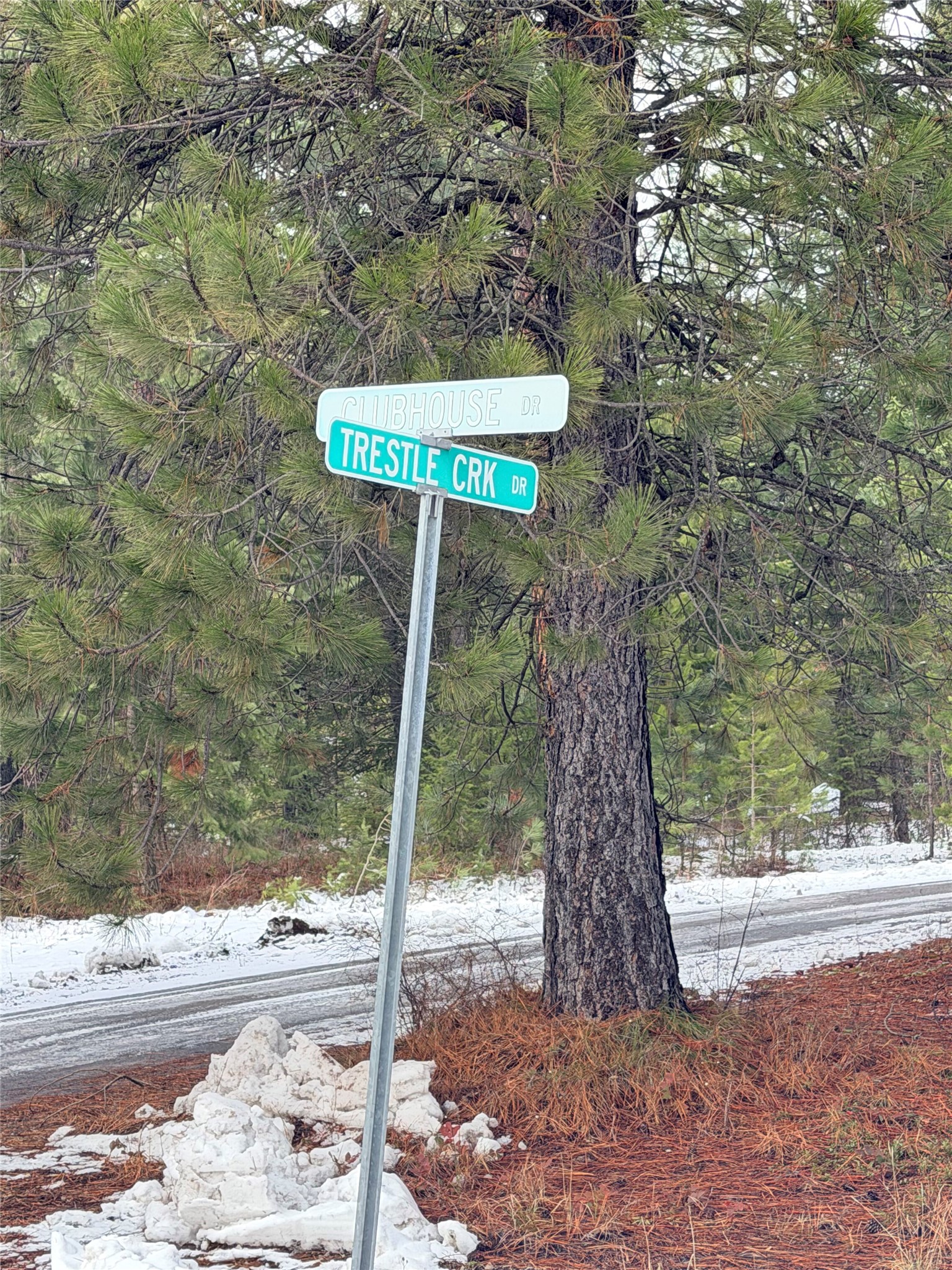 77 Trestle Creek Drive Property Photo 15