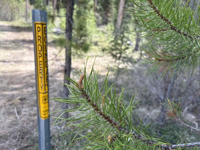 240 No Access Lane Property Photo 55