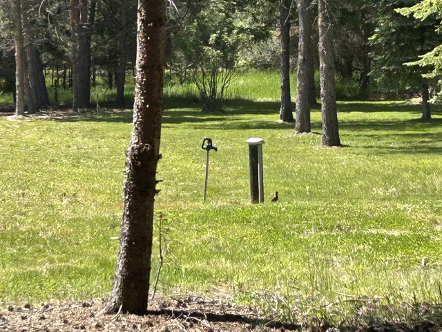 72 Pilots Trail Property Photo 11