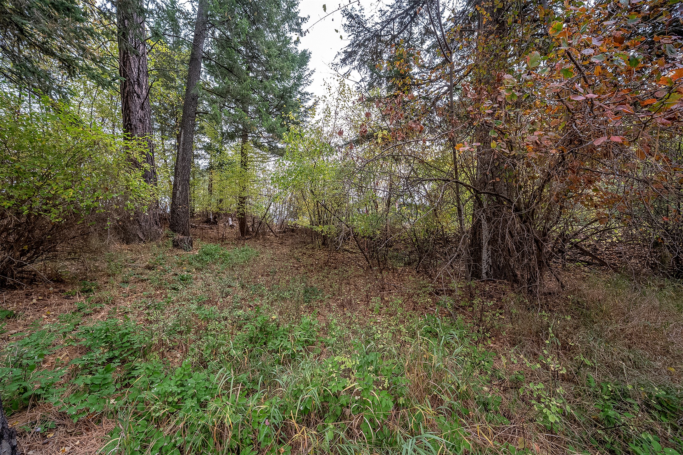 1327 1st Avenue E Property Photo 12