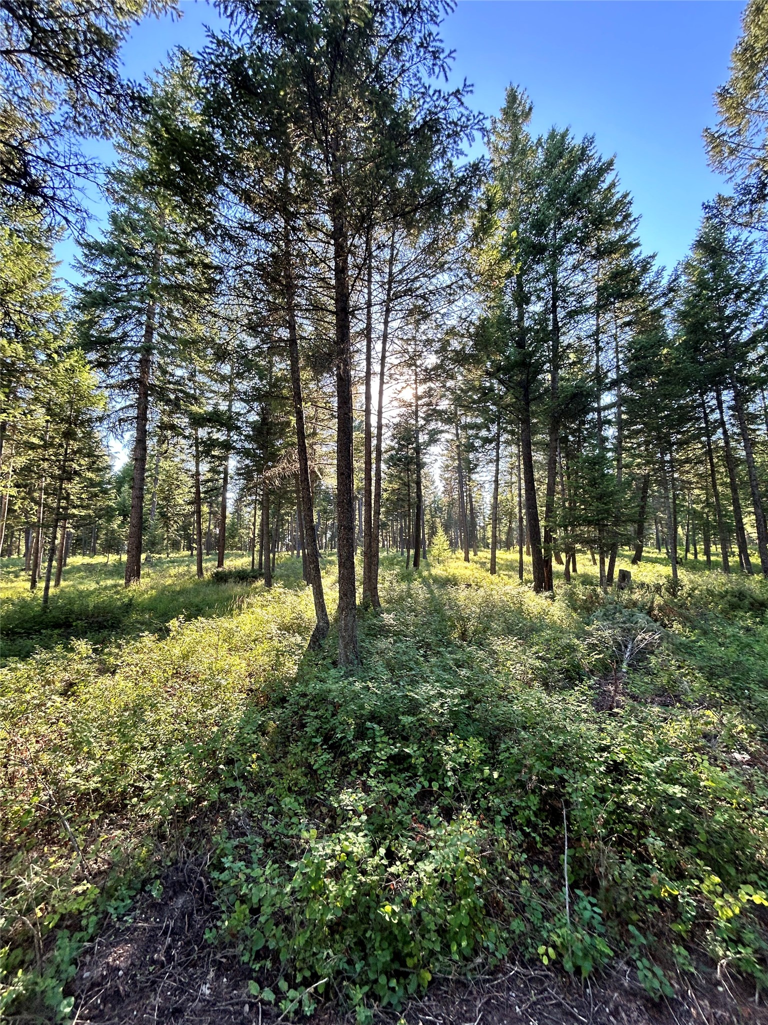 Tbd Eagle Run Drive Property Photo 27