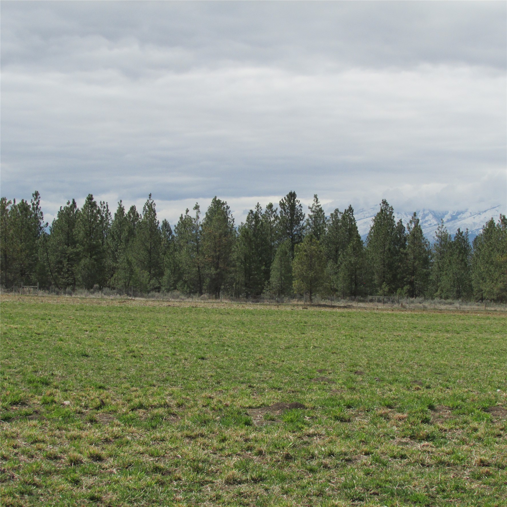 Nhn S Sunset Bench Road Property Photo 8