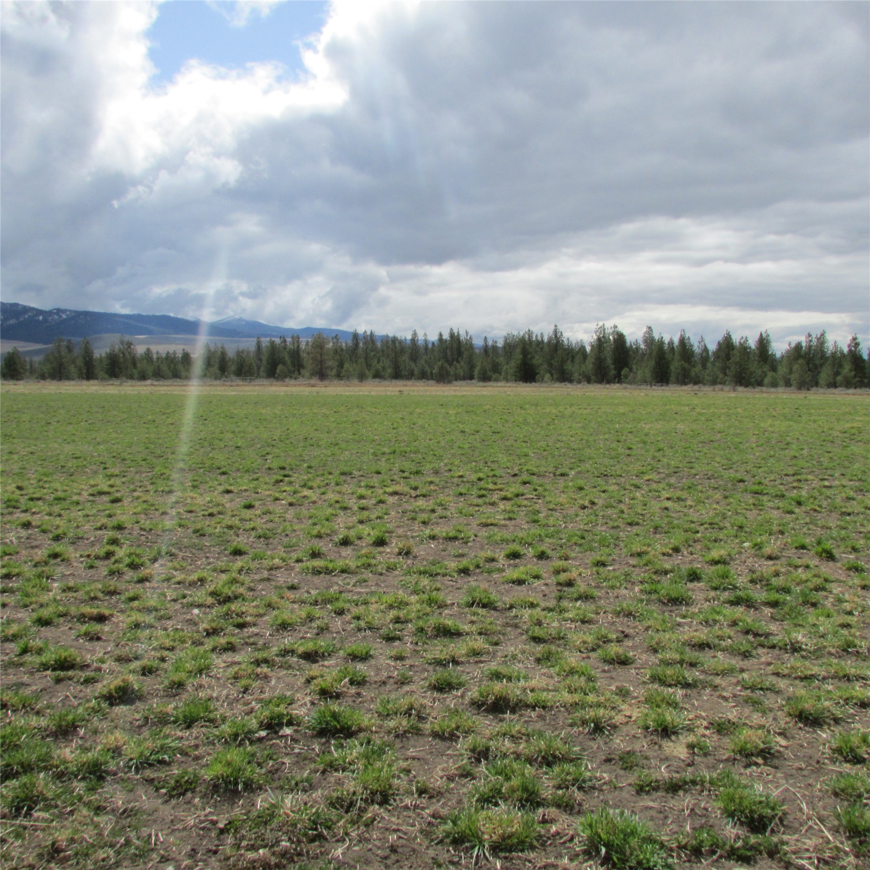Nhn S Sunset Bench Road Property Photo 18