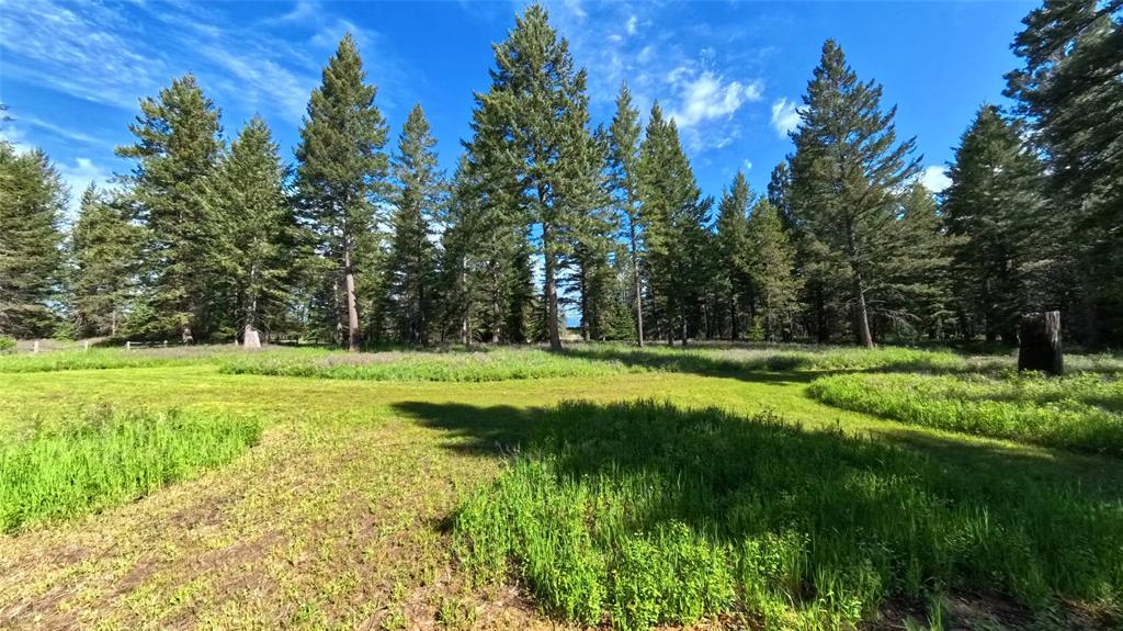 9 Tranquil Trail Property Photo 2