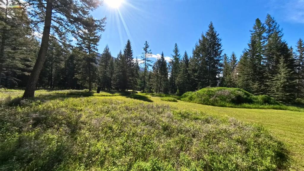 9 Tranquil Trail Property Photo 3