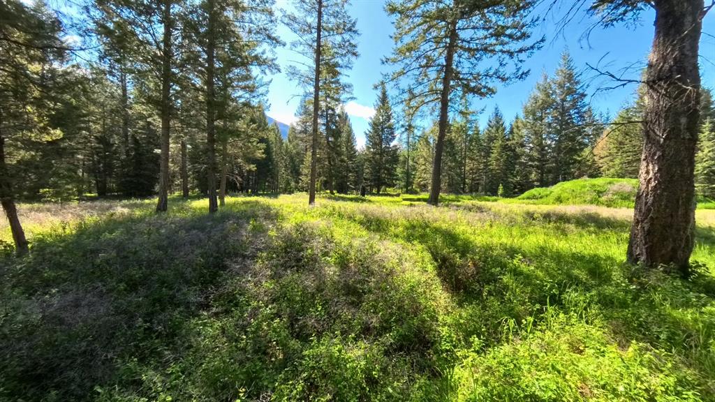 9 Tranquil Trail Property Photo 5
