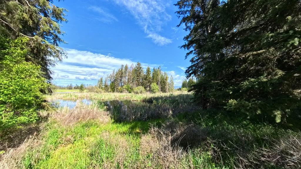 9 Tranquil Trail Property Photo 6