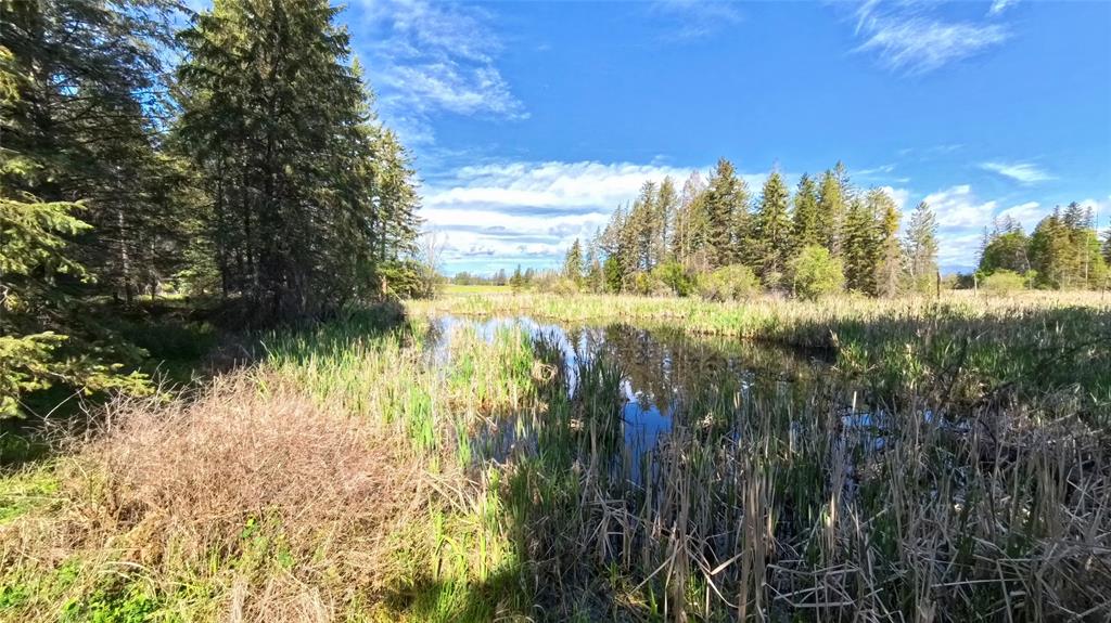 9 Tranquil Trail Property Photo 7