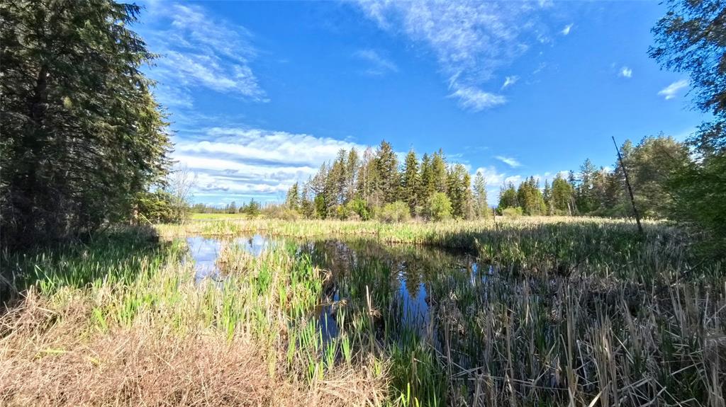 9 Tranquil Trail Property Photo 8