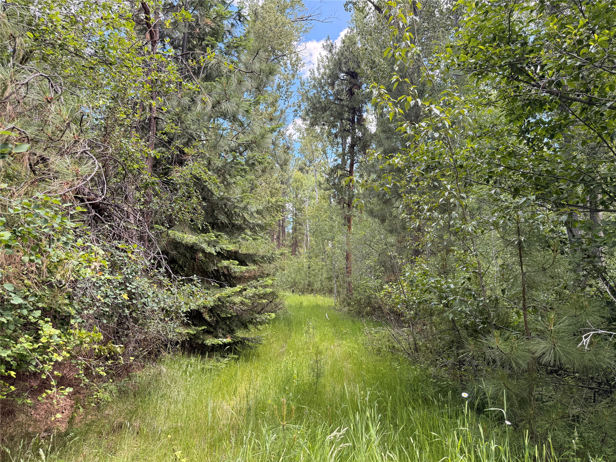 512 Lookout Trail Property Photo 3