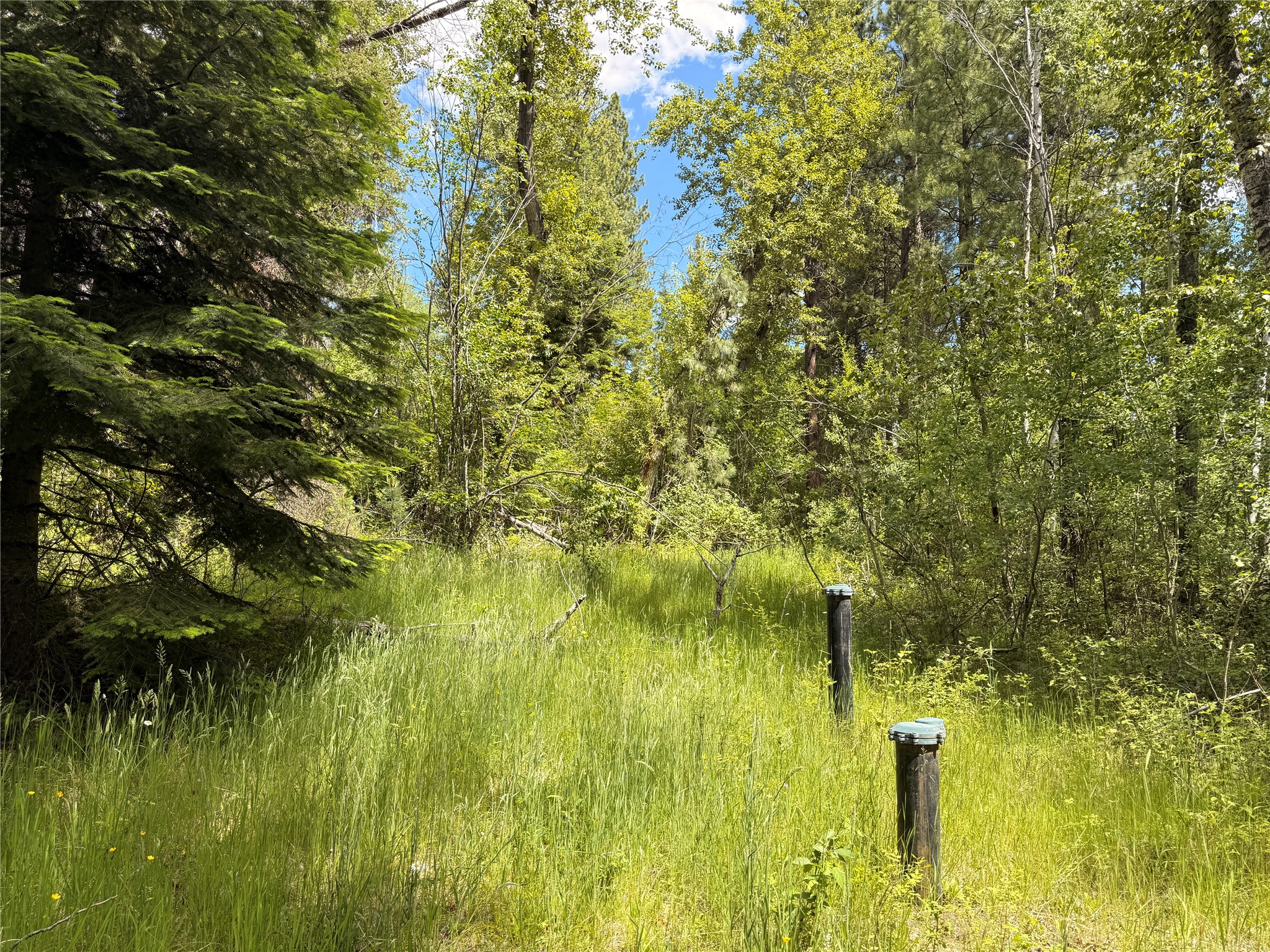 512 Lookout Trail Property Photo 7