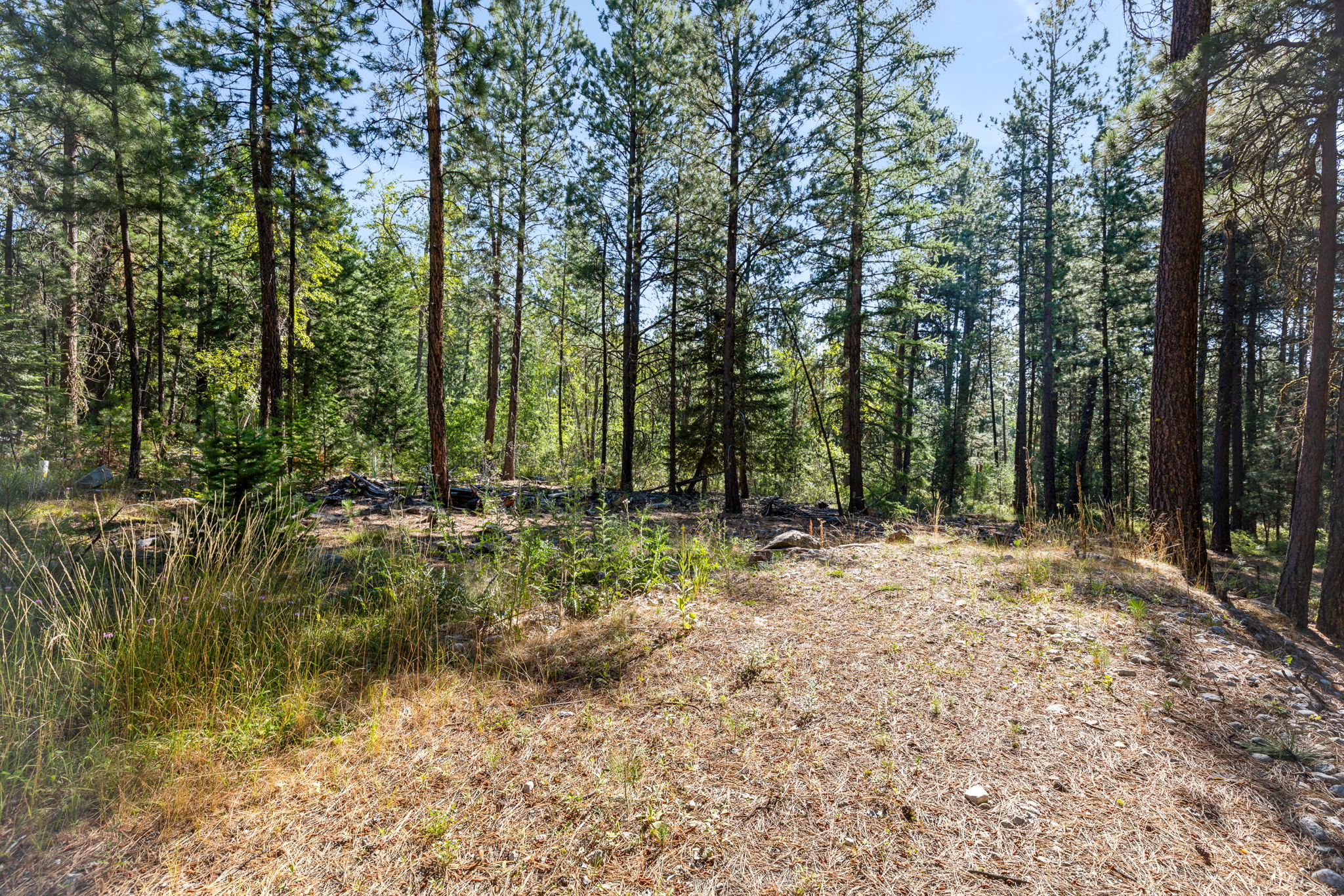 512 Lookout Trail Property Photo 12