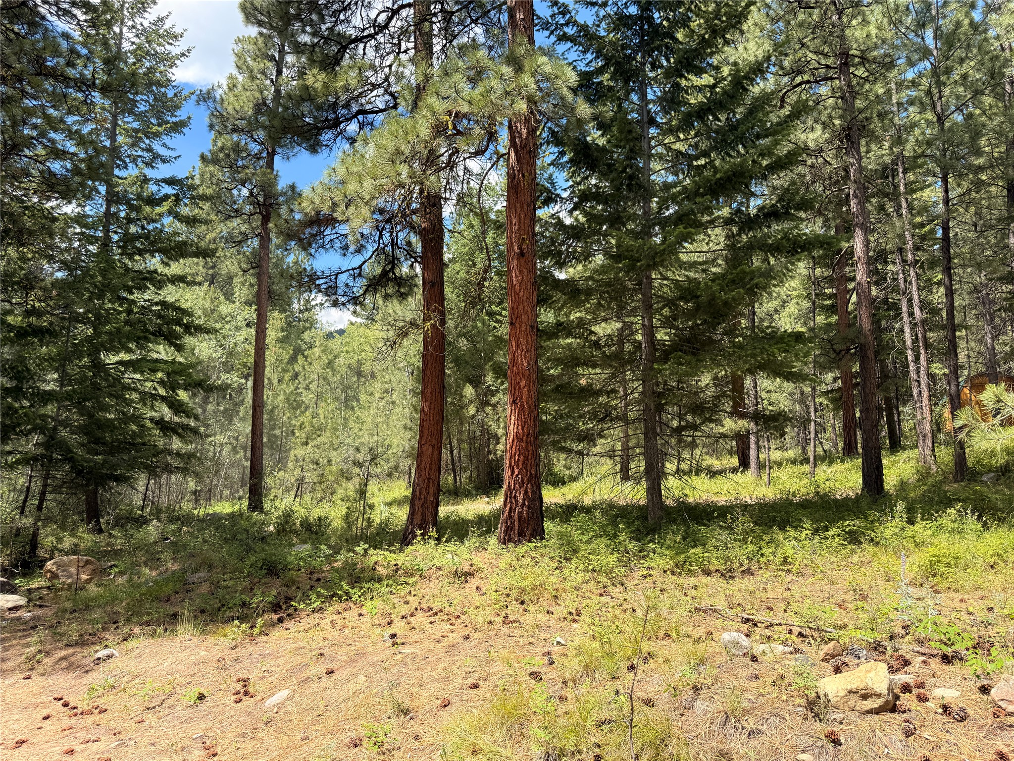 512 Lookout Trail Property Photo 13