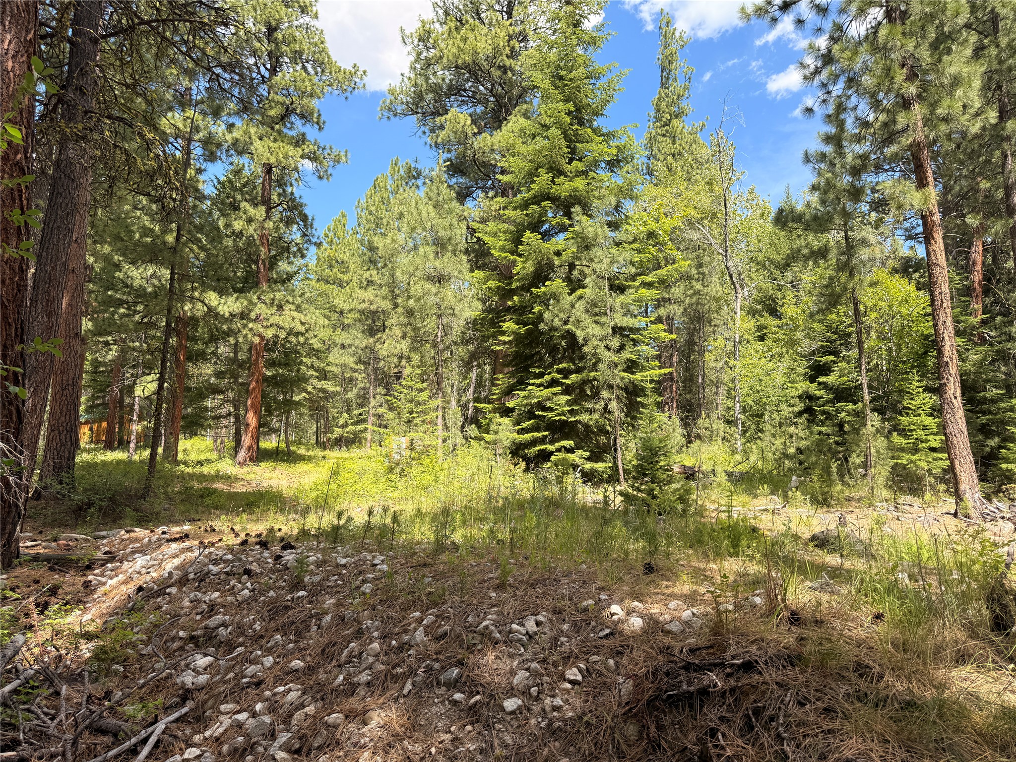 512 Lookout Trail Property Photo 14