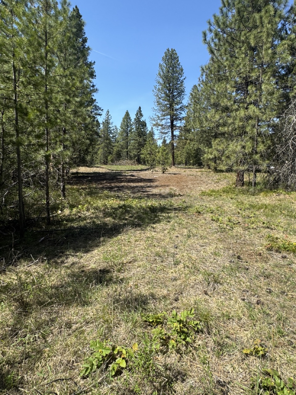 Nhn Franko Lane Property Photo 6