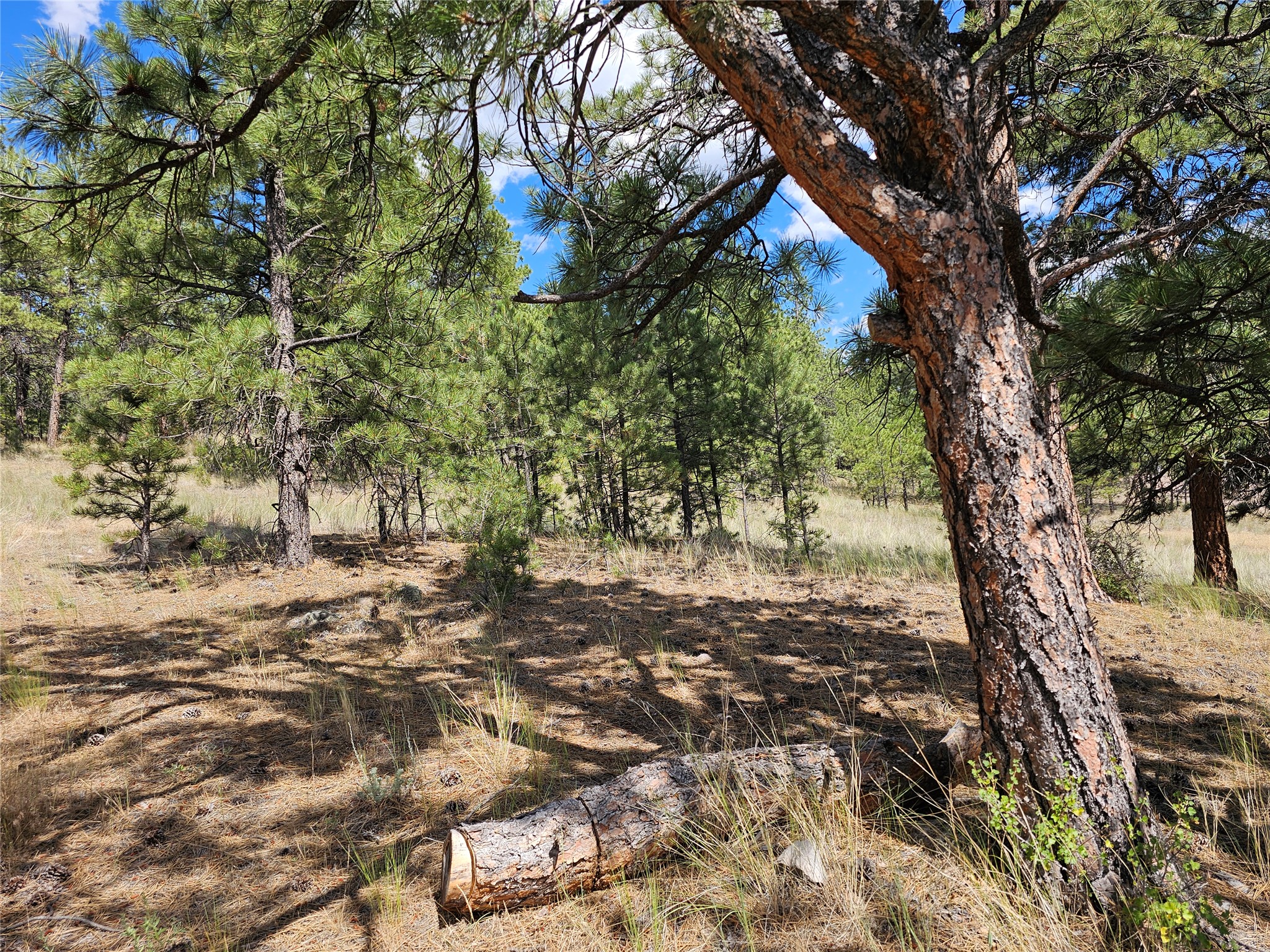 Nhn Upper Sawmill Creek Road Property Photo 6